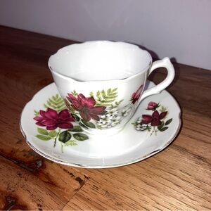 Vintage Red Floral Bone China Teacup & Saucer Set - Royal Grafton (England)